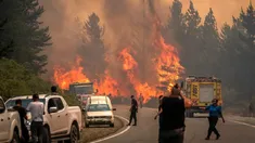 El Gobierno declara la Emergencia Ígnea en la Patagonia por los incendios.