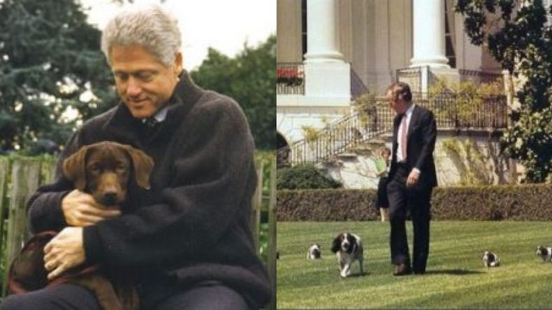 La tradición que tienen los presidentes de Estados Unidos en la Casa Blanca relacionada a las mascotas.