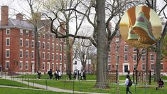 El ejercicio aeróbico como la clave de la actividad física para mejor la presión arterial y cuidar el corazón según un estudio reciente de Harvard.