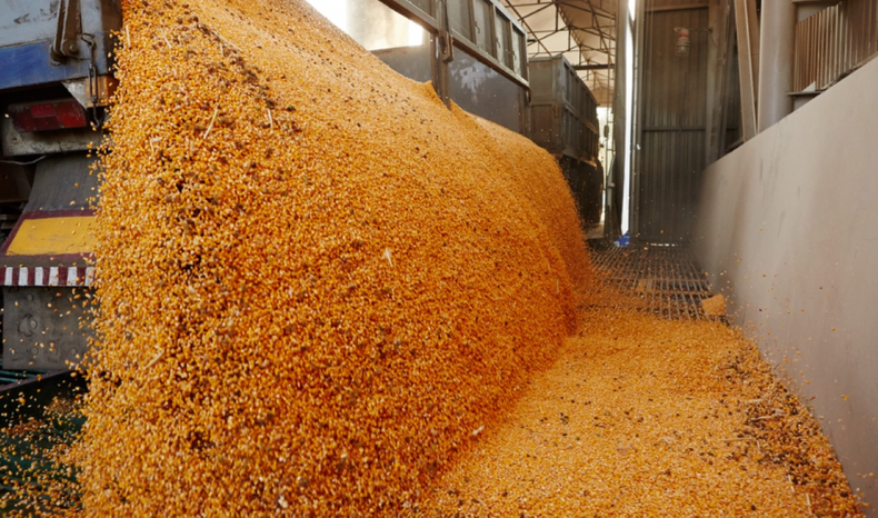 El agro marcó un récord histórico de exportaciones diarias. El agro marcó un récord histórico de exportaciones diarias.