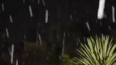 Durante la madrugada se registró caída de agua nieve en Mar del Plata. Durante la madrugada se registró caída de agua nieve en Mar del Plata.