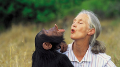 La científica fue nombrada Mensajera de la Paz de la ONU. La científica fue nombrada Mensajera de la Paz de la ONU.