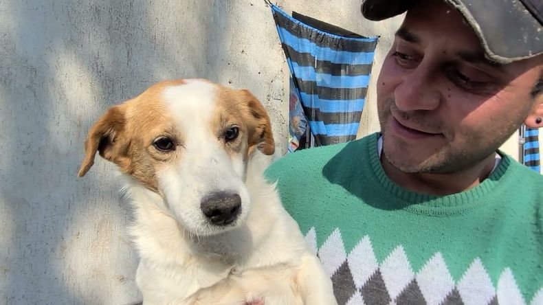 Perrito Malvado murió a los 11 años&nbsp;