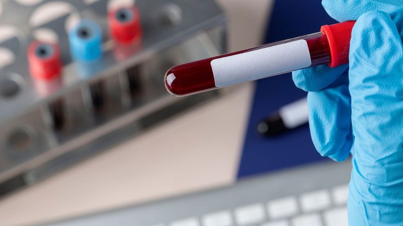 Investigaciones recientes exploraron la relación entre el grupo sanguíneo y la esperanza de vida, sugiriendo que ciertos tipos de sangre podrían asociarse con un envejecimiento más lento y con distintos riesgos para la salud.