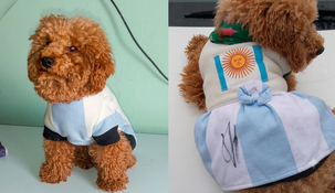 Pupe tiene dos años y viajó desde Arequito, Santa Fe.