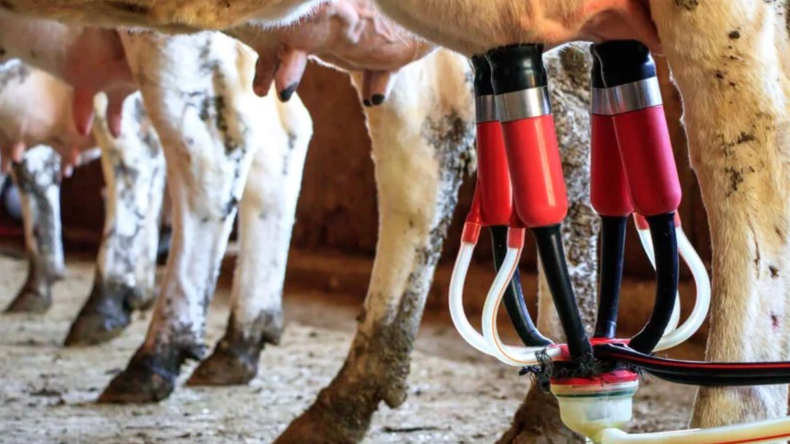 Los productos incluidos dentro de la iniciativa son aquellos derivados de lácteos como leche