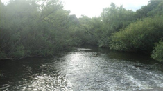 La camiseta fue encontrada por Agustín Elugui, un productor rural. La camiseta fue encontrada por Agustín Elugui, un productor rural.