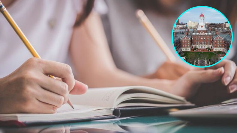 Expertos de Harvard revelaron cuáles son las mejores técnicas para estudiar.