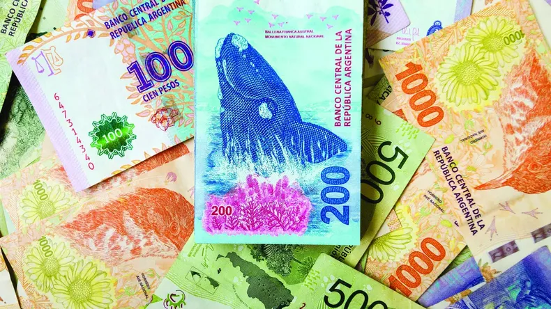 Las trabajadoras de casas particulares ya pueden pedir préstamo de hasta $150.000.