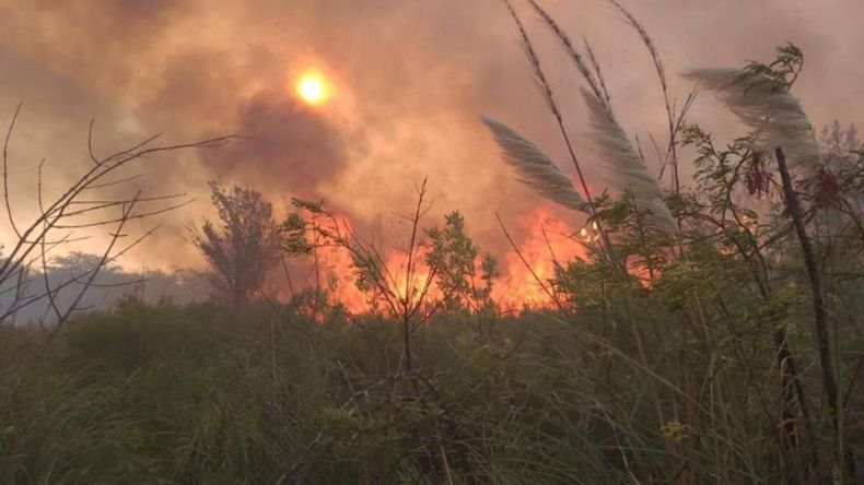 El fuego se produjo debajo de los cables de alta tensión.