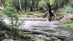 Achiras invita a vivir experiencias que combinan historia, naturaleza y sabores únicos. Achiras invita a vivir experiencias que combinan historia, naturaleza y sabores únicos.