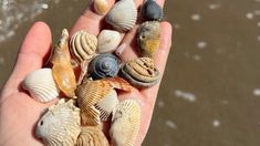 Los pequeños pueblos uruguayos conservan identidad local, historia y tradiciones auténticas Los pequeños pueblos uruguayos conservan identidad local, historia y tradiciones auténticas