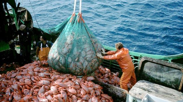 Gremios de la pesca acordaron liquidación salarial según un dólar a $300.