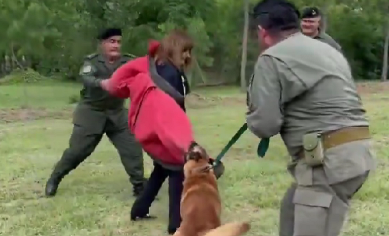 Patricia Bullrich fue atacada por un perro en Córdoba.