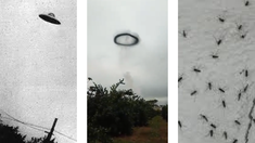 El fenómeno fue comparado con una invasión de mosquitos y un ovni. El fenómeno fue comparado con una invasión de mosquitos y un ovni.