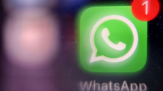 ¿Chau a WhatsApp? Hacé esto para proteger tu cuenta de softwares maliciosos