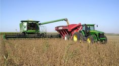 Se liquidaron más de 260.000 toneladas de soja. Se liquidaron más de 260.000 toneladas de soja.