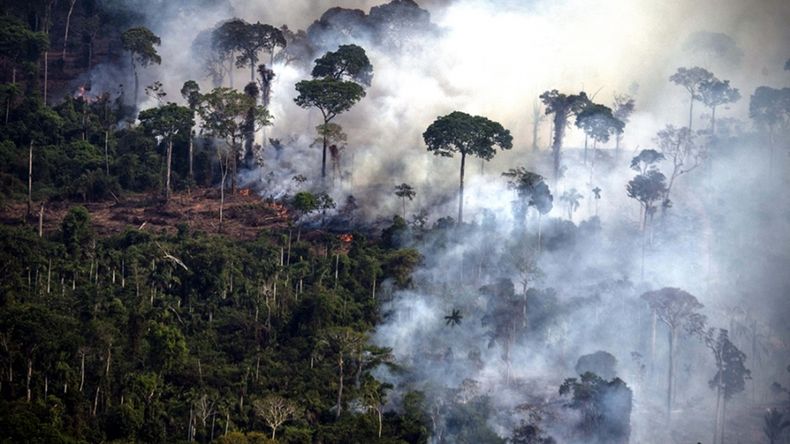 Entre enero y julio se deforestaron 5.474 kilómetros cuadrados de selva amazónica.