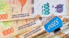 ANSES detalló el paso a paso para acceder a un bono de $130.000. ANSES detalló el paso a paso para acceder a un bono de $130.000.