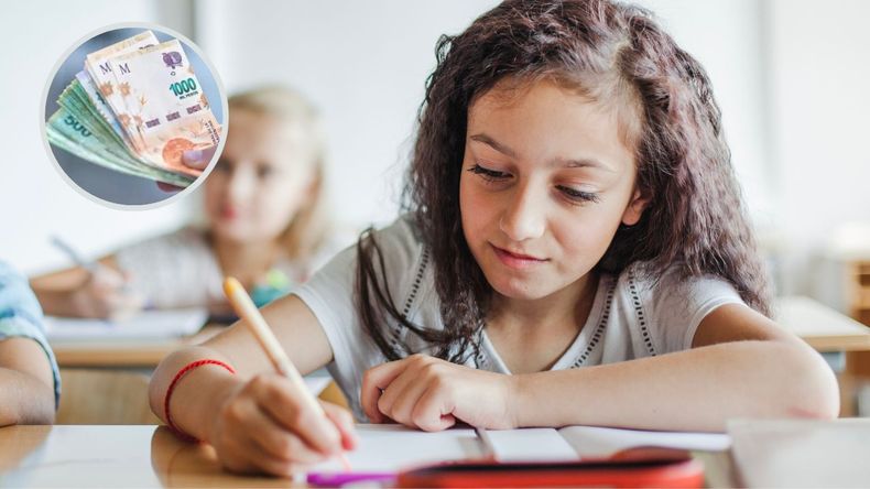El beneficio será aplicable a los estudiantes cuyas instituciones reciban una subvención del 75% o superior. &nbsp;