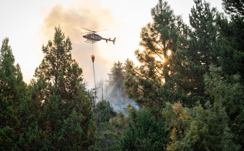 El incendio forestal se desató el domingo pasado en El Bolsón.