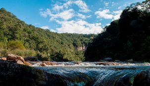 Dentro de esta localidad salteña, se encuentra una Reserva Natural y aguas termales