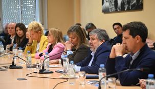 El bloque de senadores de Unión por la Patria cargó contra Javier Milei.