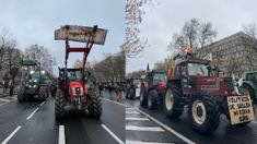 tractorazo en madrid contra el acuerdo entre la union europea y el mercosur tractorazo en madrid contra el acuerdo entre la union europea y el mercosur