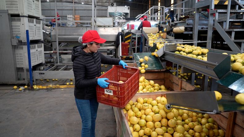 Se destaca el liderazgo de mujeres en todas las áreas de la empresa.