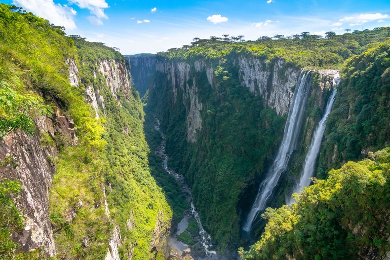 Un cañón rodeado de vegetación y agua