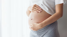 El calendario de pagos de septiembre de la AUE está a punto de finalizar. El calendario de pagos de septiembre de la AUE está a punto de finalizar.