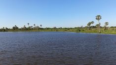 Tiene un arroyo para refrescarse en verano y muchos espacios verdes. Tiene un arroyo para refrescarse en verano y muchos espacios verdes.