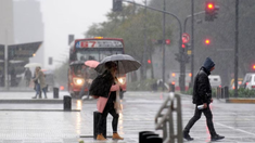Las provincias bajo alerta son Formosa, Chaco, Santiago del Estero, Salta, Neuquén y Mendoza. Las provincias bajo alerta son Formosa, Chaco, Santiago del Estero, Salta, Neuquén y Mendoza.