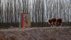 En esta localidad de Neuquén confluyen cuatro provincias y es el único sitio en el país con esta característica En esta localidad de Neuquén confluyen cuatro provincias y es el único sitio en el país con esta característica