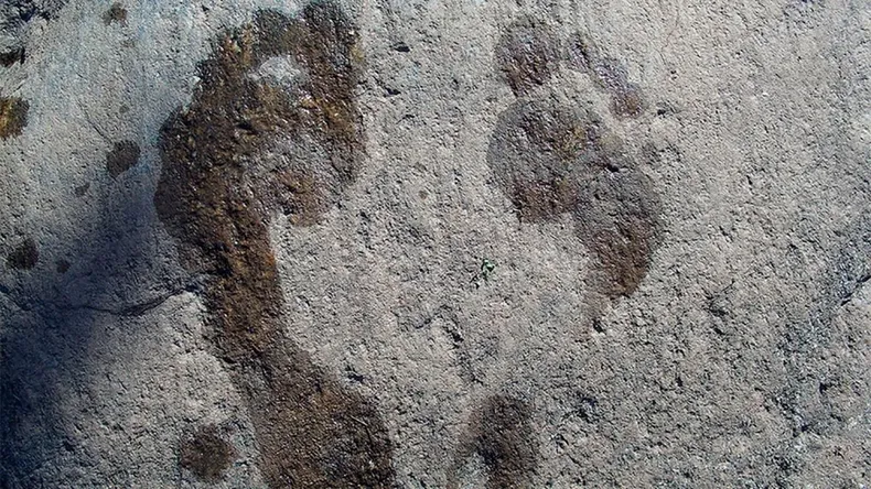 Encontraron huellas de la Edad de Hielo de hace más de 12.000 años.
