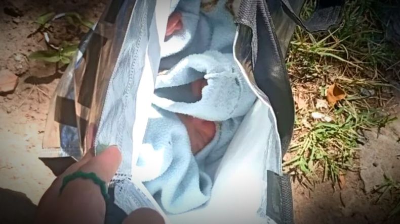 Una adolescente creyó que era un perro