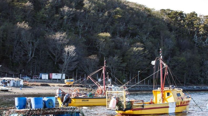 Puerto Almanza forma parte de la localidad más austral del país.