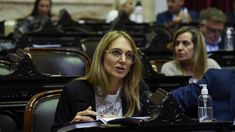 Gabriela Brouwer, autora del proyecto.