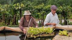 La justificación del Gobierno por el cierre de dos organismos públicos: Achicar el Estado La justificación del Gobierno por el cierre de dos organismos públicos: Achicar el Estado