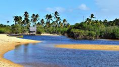 Trancoso, un rincón mágico en la costa de Bahía, sorprende a quienes buscan combinar naturaleza, cultura y lujo en un solo destino. Trancoso, un rincón mágico en la costa de Bahía, sorprende a quienes buscan combinar naturaleza, cultura y lujo en un solo destino.