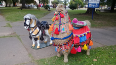 Los muñecos causaron confusión en una persona que denunció maltrato animal. Los muñecos causaron confusión en una persona que denunció maltrato animal.