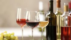 WINEMAKERS ARGENTINOS ELIGIERON SU VINO FAVORITO WINEMAKERS ARGENTINOS ELIGIERON SU VINO FAVORITO