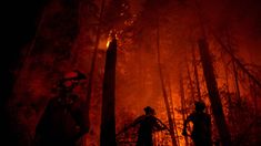 Autoridades apuntaron contra la restricciones de meta en medio de los incendios. Autoridades apuntaron contra la restricciones de meta en medio de los incendios.