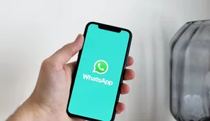 WhatsApp anuncia reacciones en los estados. WhatsApp anuncia reacciones en los estados.