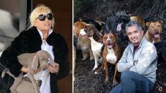 Susana manda a su perra Thelma a terapia con Millán, el encantador de perros Susana manda a su perra Thelma a terapia con Millán, el encantador de perros