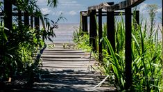El Parque Costero del Sur, una de las mejores escapadas para realizar.
