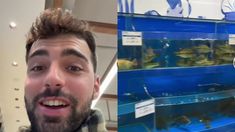 Un influencer reveló cómo son las pescaderías en Pekín y lo que mostró fue viral. Un influencer reveló cómo son las pescaderías en Pekín y lo que mostró fue viral.