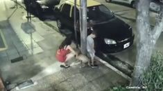 El momento en el que la mujer, acompañada de un nene, abandona al perro. El momento en el que la mujer, acompañada de un nene, abandona al perro.