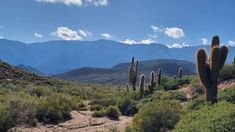 En Salta hay un pueblito con paisajes asombrosos para visitar en esta temporada 2026.