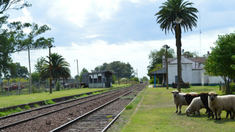 Este tranquilo pueblo a menos de 2 horas de la Ciudad de Buenos Aires te sorprenderá. Este tranquilo pueblo a menos de 2 horas de la Ciudad de Buenos Aires te sorprenderá.